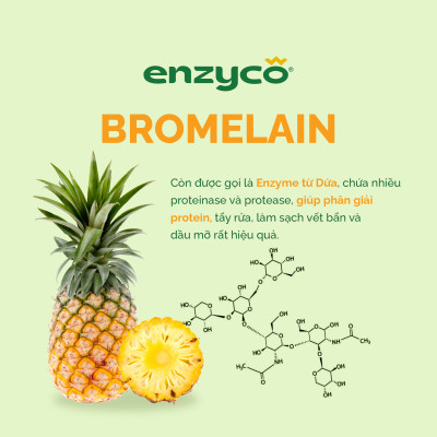 Combo Nước Lau Sàn 2L Và Nước Ngâm Rau Củ 1L ENZYCO