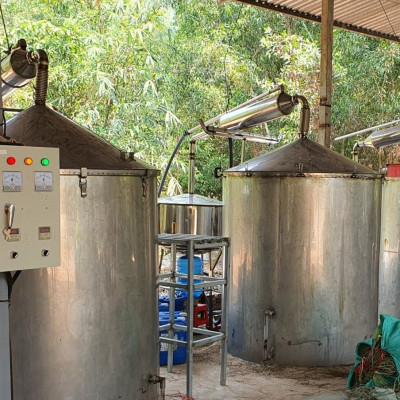 Tinh dầu Hương Nhu 10ml Mộc Mây - tinh dầu thiên nhiên nguyên chất 100% - chất lượng và mùi hương vượt trội - chuyên gia chăm sóc tóc hư tổn