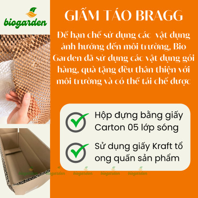Combo 2 Chai Giấm Táo Hữu Cơ Bragg 946ml