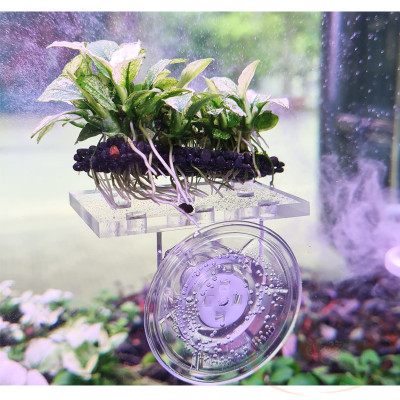 Vĩ ươm cây Ebi-VN giá đỡ thủy sinh trồng cây bám giá thể bể cá tép cảnh