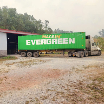 Lọc gió điều hòa cao cấp Macsim N95 xe ô tô Volvo S60 (Thế hệ 2) đời 2011-2018 (mã MS2733)