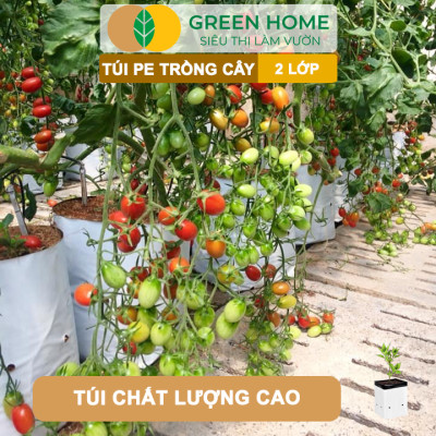10 Túi Trồng Cây GreenHome, PE 2 Lớp, 20x40CM, Chống UV, Tiện Lợi, Độ Bền 1,5 Năm, Trồng Rau, Hoa