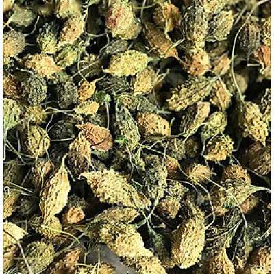 500gr Trà khổ qua rừng