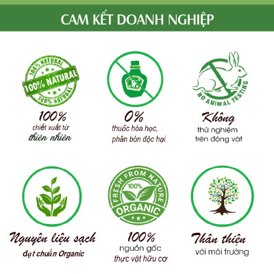 Tinh dầu Gỗ Thông nguyên chất từ thiên nhiên, xông phòng, khử mùi, thơm phòng, đuổi muỗi - KingOil