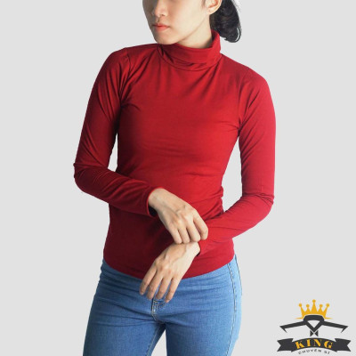 Áo cổ lọ nữ hàn quốc cổ cao giữ nhiệt tay dài T14