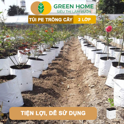 10 Túi Trồng Cây GreenHome, PE 2 Lớp, 20x40CM, Chống UV, Tiện Lợi, Độ Bền 1,5 Năm, Trồng Rau, Hoa