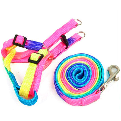 Dây dắt bảy màu dễ thương cho chó mèo 1-3kg (màu ngẫu nhiên)
