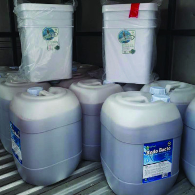 Vi sinh xử lý đa năng SOILMAX