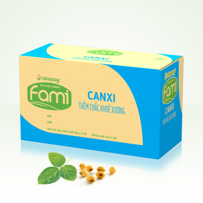 Thùng 10 Hộp Sữa đậu nành Vinasoy Fami Canxi (1000ml/Hộp)