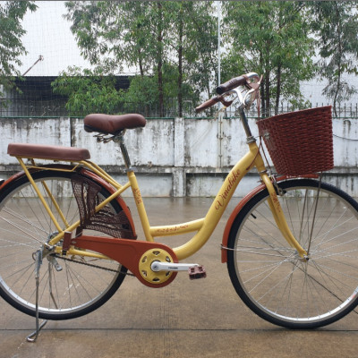Xe đạp mini Vinabike 26inch đẹp, nan thưa