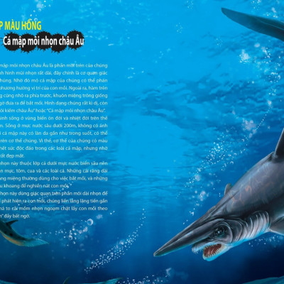 Khám Phá Thế Giới Động Vật Kì Thú : Thế Giới Của Các Loài Vật Kì Quái