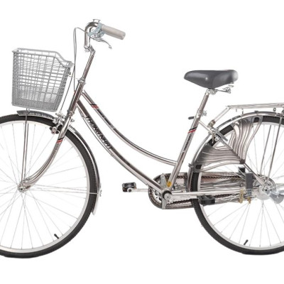 Xe đạp Thống Nhất mini inox 219-05-26