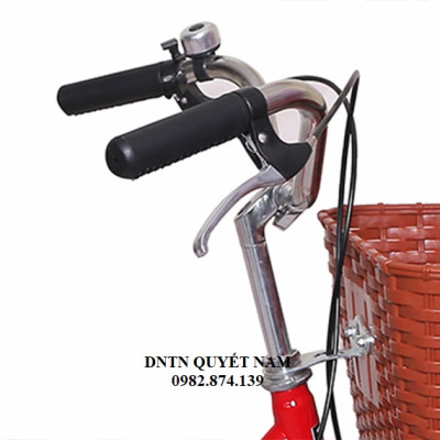 Xe đạp mini Thống Nhất Autumn LD 24-01 - Hàng chính hãng