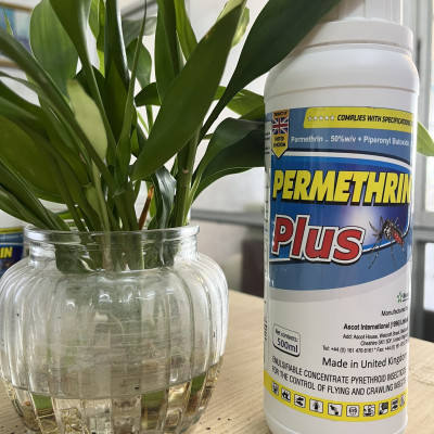 Thuốc diệt muỗi nhập khẩu nguyên chai Anh Quốc Permethrin Plus 50EC chai 500 ml