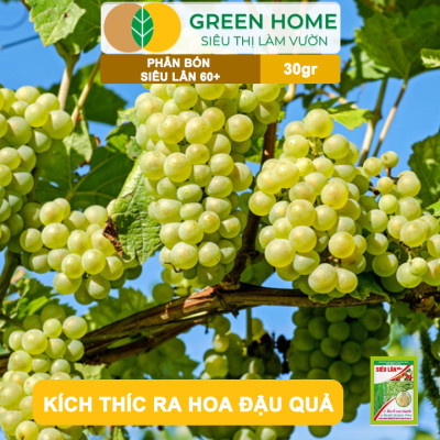 Phân Bón Lá Greenhome, Siêu Lân 60+, Gói 30gr, Phát Triển Rễ, Tạo Mầm Hoa, Kích Ra Hoa