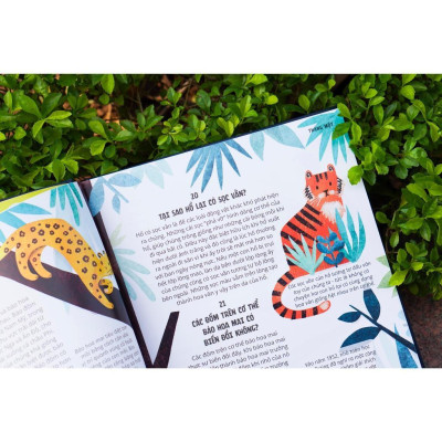 Sách - 366 câu hỏi lý thú của trẻ - Everything Under The Sun - Đinh Tị Books