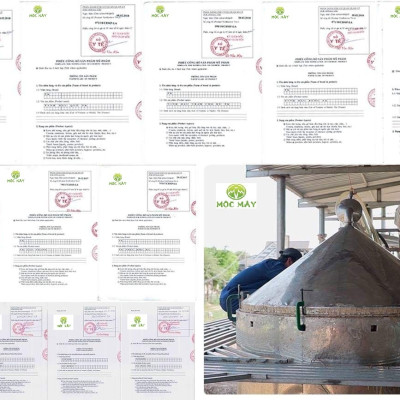 Tinh dầu Khuynh Diệp (bạch đàn) 10ml nguyên chất từ thiên nhiên - Mộc Mây