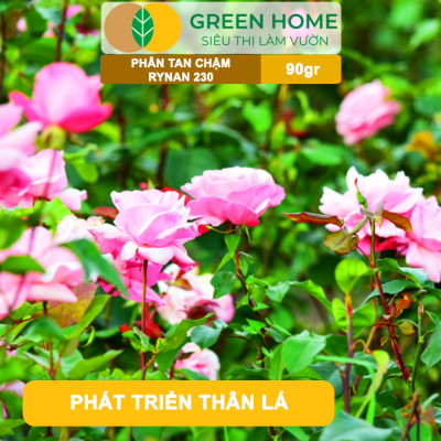 Phân Tan Chậm GreenHome, Rynan 230, Bao 90g ~ 30 Túi Lưới 3g, Dùng Cho Hoa Kiểng Trước Khi Ra Hoa