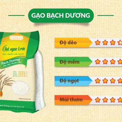 Combo 2 sản phẩm Gạo Hạt Ngọc Trời Bạch Dương Túi 5Kg - Thơm lài, ít dẻo, mềm cơm