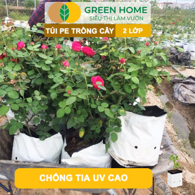 10 Túi Trồng Cây GreenHome, PE 2 Lớp, 20x40CM, Chống UV, Tiện Lợi, Độ Bền 1,5 Năm, Trồng Rau, Hoa