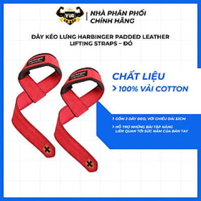 Dây Kéo Lưng Tập Gym Harbinger Padded Leather