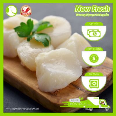 [GIAO NHANH HCM] Cồi Sò Điệp Việt Nam - Túi 500Gr (20-40 Con)
